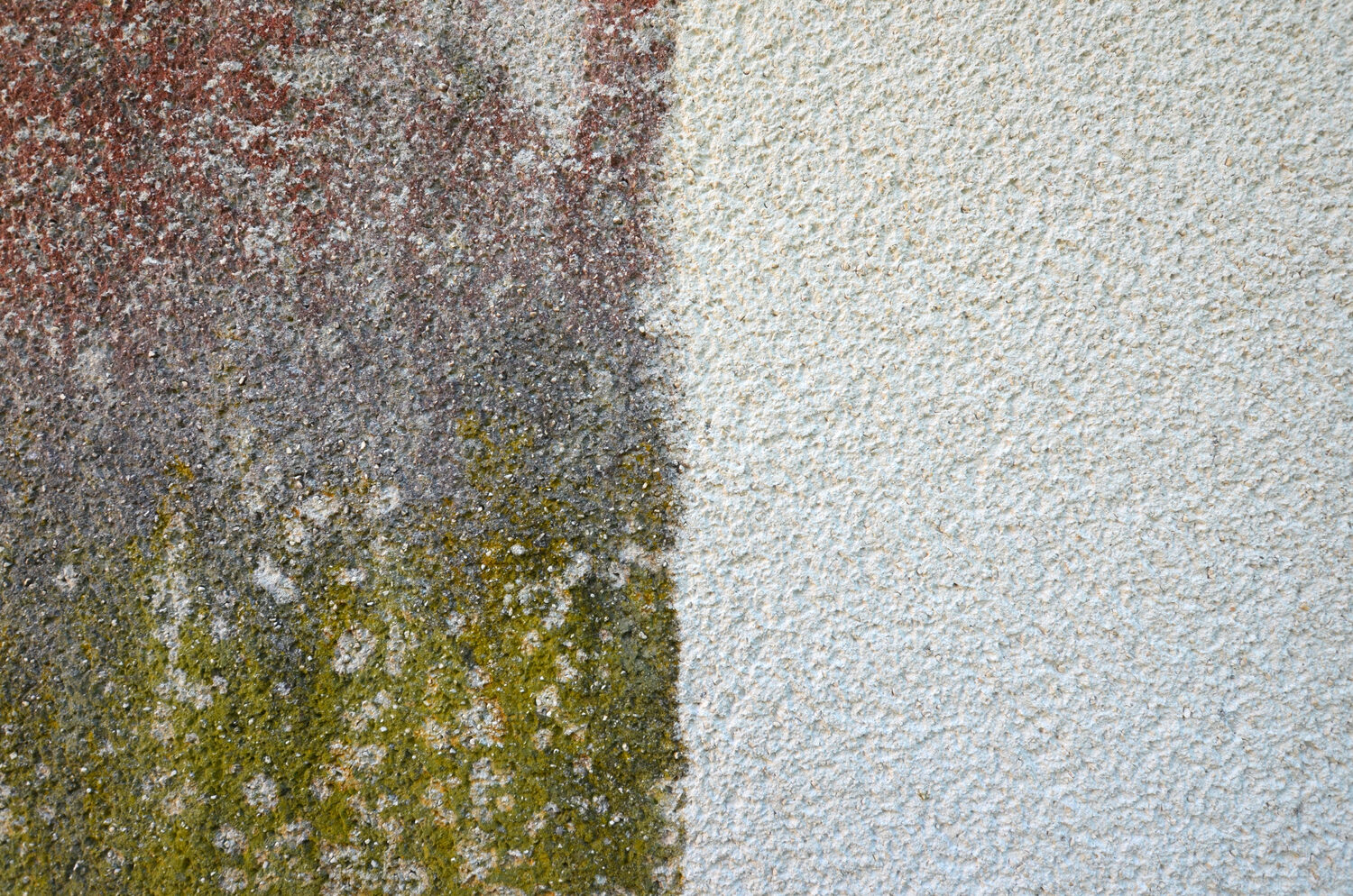 Façade avant et après nettoyage par Cleanix au Luxembourg — élimination des algues et du lichen
